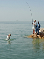 pesca7