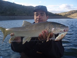 pesca12