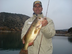 pesca12